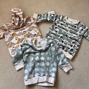 Bundle of 3 Winter Water Factory sweatshirts. Size 4T (one is 3T)